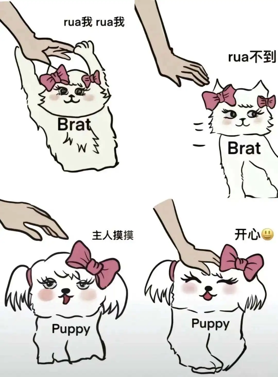 西檬之家-BDSM字母圈新人入圈指南