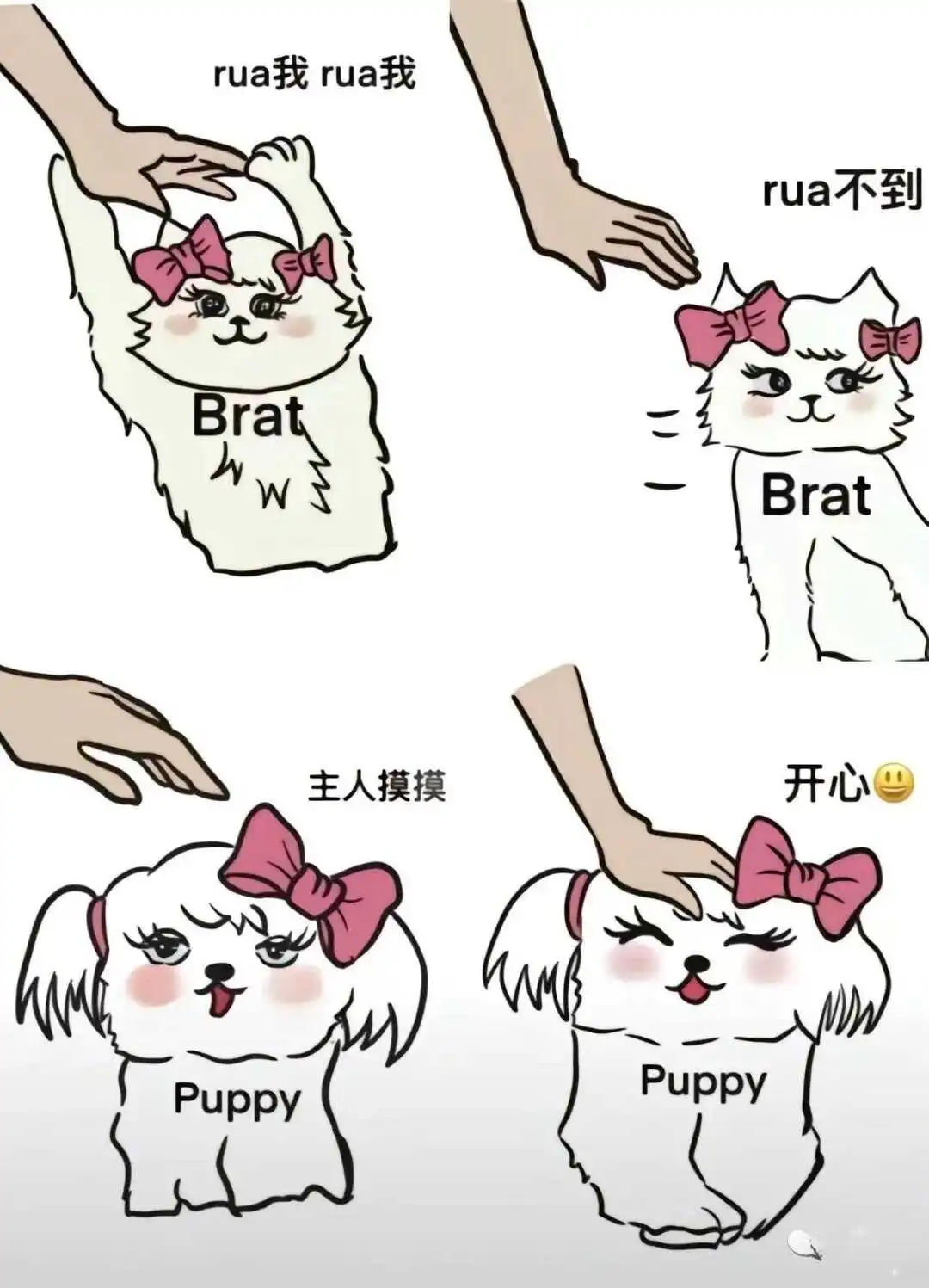 西檬之家-K8是什么：猫系角色扮演指南