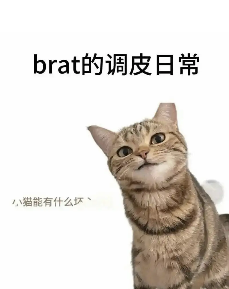 【西檬之家】新手必看：字母圈BD是什么及安全细节
