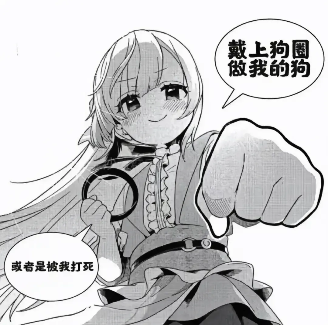 西檬之家-k8猫系属性解析与新人入圈指南