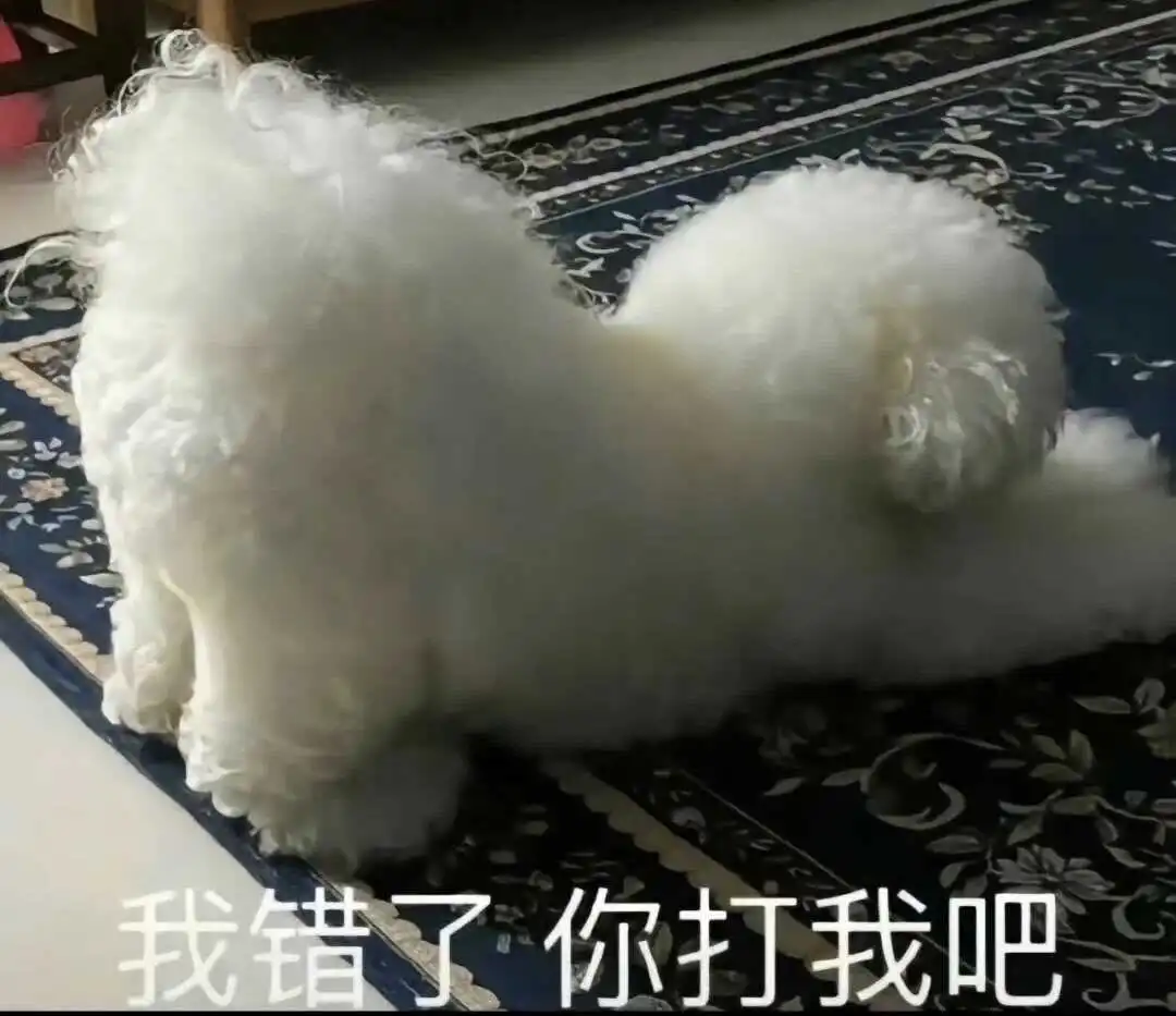 【西檬之家】字母圈新人如何入圈？BDSM核心指南