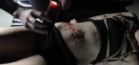 西檬之家-字母圈新人入门指南，掌握BDSM核心术语与社群文化