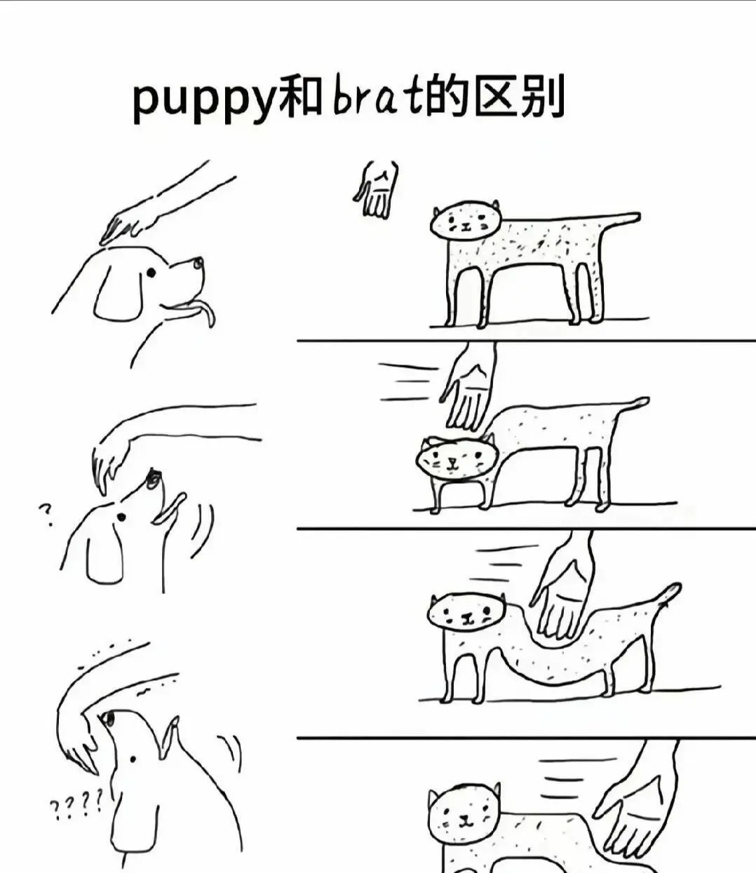 西檬之家-K9是什么？字母圈犬类扮演的入门指南