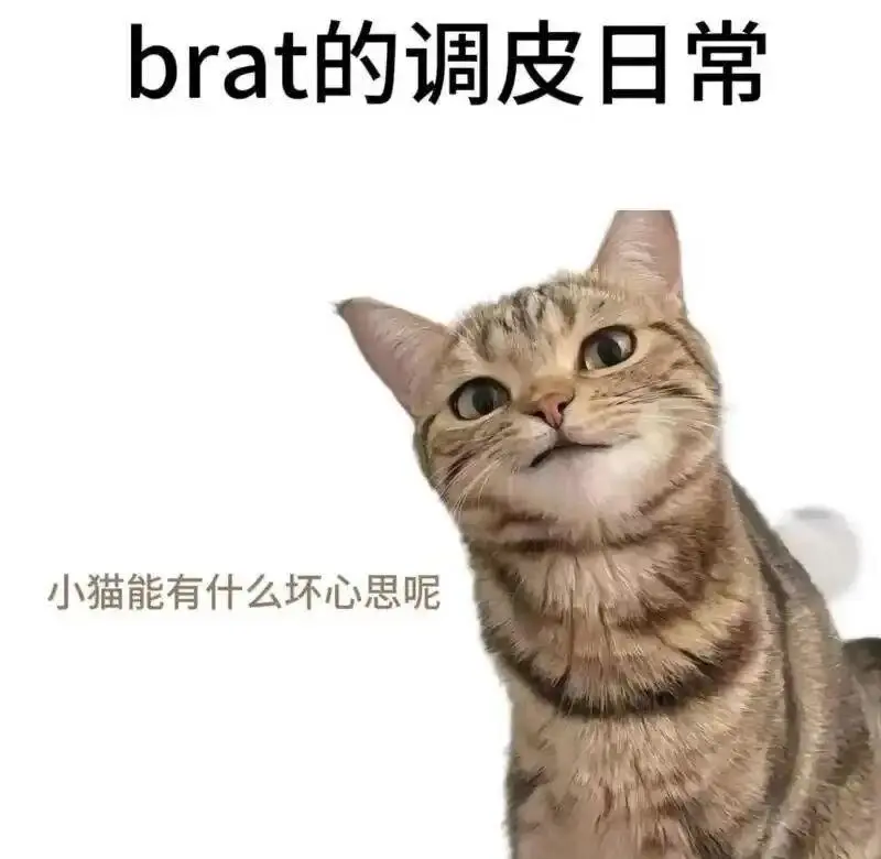 【西檬之家】字母圈的DOM是什么意思？BDSM新人权威指南