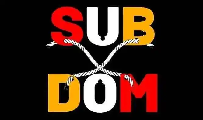 西檬之家-BDSM新人入圈指南：从基础术语到安全实践
