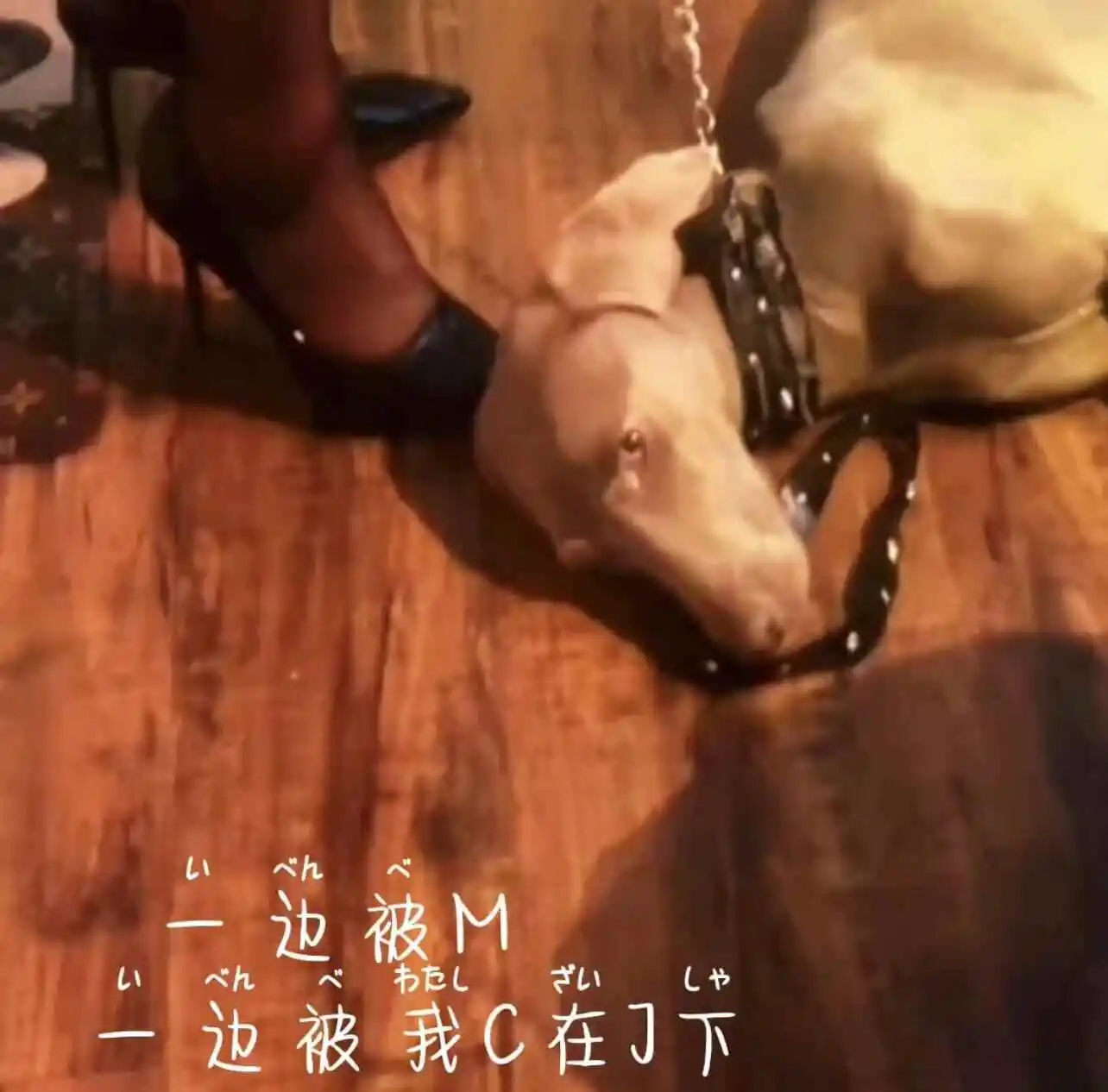 西檬之家-M：作为新人如何理解BDSM关系中的受虐者角色